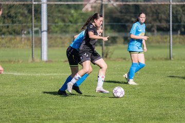 Bild 134 - wBJ SV Henstedt Ulzburg - FSG Oldendorf Itzehoe : Ergebnis: 2:5